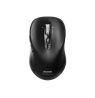 PORT CONNECT Expert Mouse, | Wireless | Bluetooth | Black