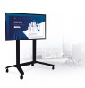 B-Tech Extra-Large Universal Flat Screen Trolley (VESA 1000 x 600) - 1.7m Column
