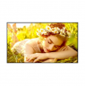 LG 43UL5Q-E | 43 " | Landscape/Portrait | 24/7 | webOS | 8 ms | 1000000:1 | 178 ° | 178 ° | 500 cd/m²