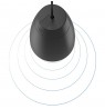 AUDAC ALTI6 2-way Black Wired 60 W