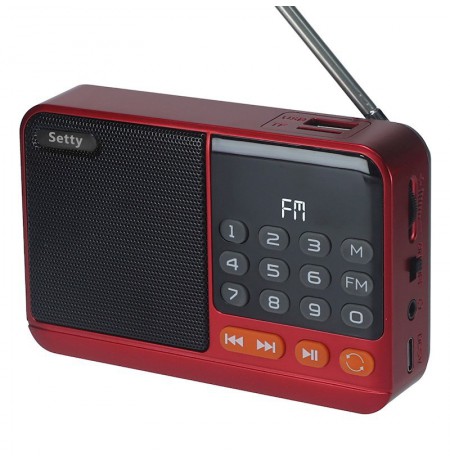 Setty mini FM radio + Bluetooth speaker SFM-01M