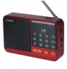 Setty mini FM radio + Bluetooth speaker SFM-01M