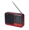 Setty mini FM radio + Bluetooth speaker SFM-01M