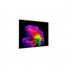 LG OLED77G61LW 77" (195 cm) 4K OLED evo Gallery Smart TV | LG