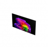LG OLED77G61LW 77" (195 cm) 4K OLED evo Gallery Smart TV | LG