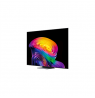 LG OLED83C61LA 83" (209 cm) 4K OLED evo Smart TV | LG