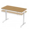 ACTIVEJET desk with electric height adjustment 120x60 ET119S white/oak