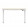 ACTIVEJET desk with electric height adjustment 120x60 ET119S white/oak