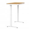 ACTIVEJET desk with electric height adjustment 120x60 ET119S white/oak