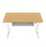 ACTIVEJET desk with electric height adjustment 120x60 ET119S white/oak
