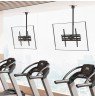 Maclean Ceiling Mount for TV, max. load 50 kg, 37–75", max. VESA 400x400, MC-175