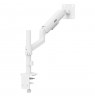 Ergo Office Monitor Mount/Hanger, Gas Spring, 17"-32", 1-10 kg, Matte White, Max. VESA 100x100, ER-691 W