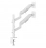 Ergo Office Mount/Hanger for 2 Monitors, Gas Spring, 17"-32", 1-10 kg, Matte White, ER-692 W
