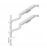 Ergo Office Mount/Hanger for 2 Monitors, Gas Spring, 17"-32", 1-10 kg, Matte White, ER-692 W