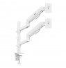 Ergo Office Mount/Hanger for 2 Monitors, Gas Spring, 17"-32", 1-10 kg, Matte White, ER-692 W