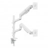 Ergo Office Mount/Hanger for 2 Monitors, Gas Spring, 17"-32", 1-10 kg, Matte White, ER-692 W