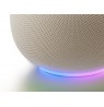 Google Home White