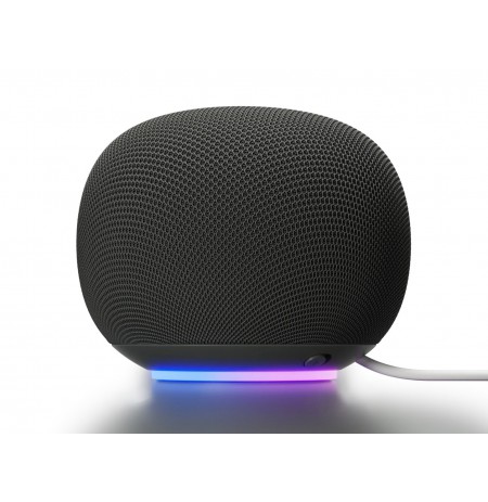 Google Home Grey