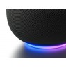 Google Home Grey
