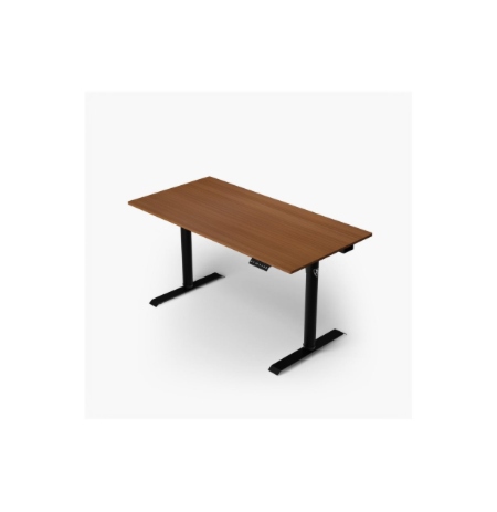 Arozzi Electric Standing Desk | Arena Nordico | Walnut