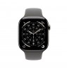 Apple Watch Series 11 GPS + Cellular 42mm Natural Titanium Case with Stone Grey Sport Band - M/L