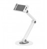 Universalus stalinis stovas DELTACO OFFICE, 4,7"- 12,9" / ARM-0560