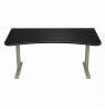 Arozzi Gaming Desk | Arena Large | Forest Green