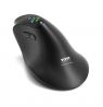 PORT CONNECT Mouse | ERGO AUDITOR | Wireless | Bluetooth, 2.4 GHz | Black