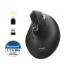 PORT CONNECT Mouse | ERGO AUDITOR | Wireless | Bluetooth, 2.4 GHz | Black
