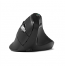 PORT CONNECT Mouse | ERGO AUDITOR | Wireless | Bluetooth, 2.4 GHz | Black