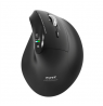 PORT CONNECT Mouse | ERGO AUDITOR | Wireless | Bluetooth, 2.4 GHz | Black