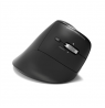 PORT CONNECT Mouse | ERGO AUDITOR | Wireless | Bluetooth, 2.4 GHz | Black