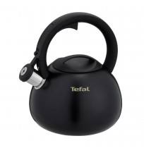 Non-electric kettle TEFAL N4180410