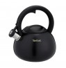Non-electric kettle TEFAL N4180410