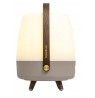 Koody Lite-up Play 2.0 Earth LED Portable Light with Built-in JBL Speaker