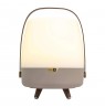 Koody Lite-up Play 2.0 Earth LED Portable Light with Built-in JBL Speaker