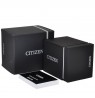 Citizen Elegance Eco Drive FE1241-71X