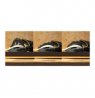 Razer Orochi V2 | Gaming Mouse | White | 2.4 GHz, Bluetooth