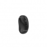 Gembird Dual-mode mouse | MUSW2-4B-01 | Wireless | 2.4G, Bluetooth | Black