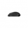 Gembird Dual-mode mouse | MUSW2-4B-01 | Wireless | 2.4G, Bluetooth | Black
