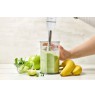 Zelmer ZHB4555 Hand Blender