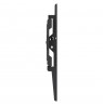 Maclean TV Mount / Bracket, max VESA 200x200, 13-43", up to 45 kg, black, tilt adjustment +2°–-10°, MC-189