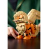 LEGO Pokémon 72160 - Arcanine