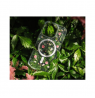 FIXED MagBloom for Apple iPhone 17 Pro Max, Blush Plum | Fixed