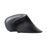 Trust Verro mouse Office Right-hand RF Wireless Optical 1600 DPI