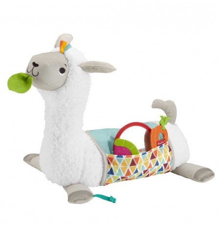 Fisher-Price GHJ03 learning toy