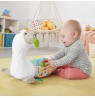 Fisher-Price GHJ03 learning toy