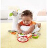 Fisher-Price GHJ03 learning toy