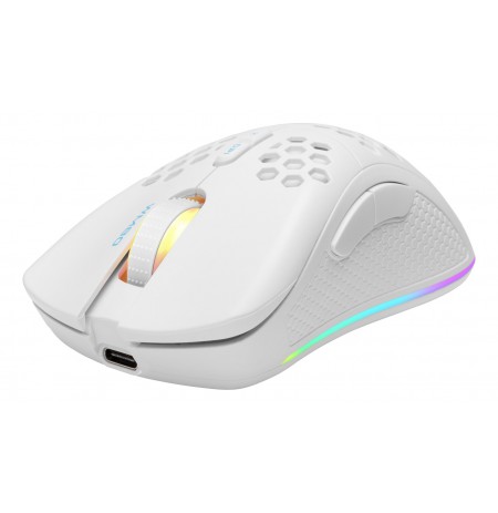 Deltaco Gaming Mouse USB, RGB, white