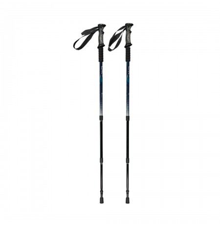 Trekking poles CMP Bern Trekking Poles black/blue 3B36297 M916